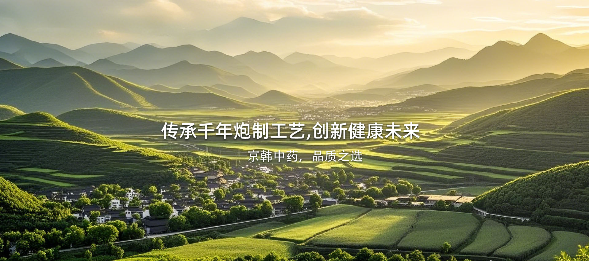 广东秦正药业有限公司